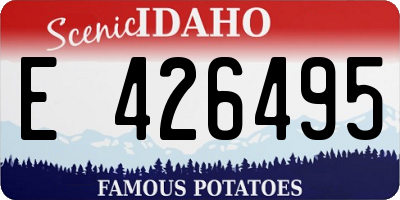 ID license plate E426495
