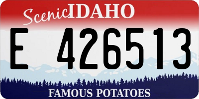 ID license plate E426513