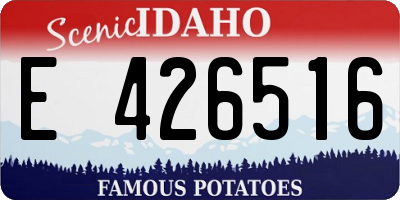 ID license plate E426516