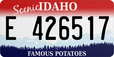 ID license plate E426517