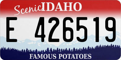 ID license plate E426519