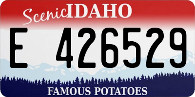 ID license plate E426529
