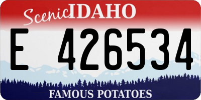 ID license plate E426534