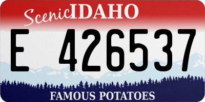 ID license plate E426537