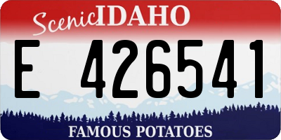 ID license plate E426541