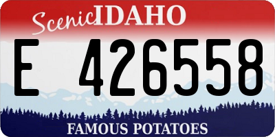 ID license plate E426558
