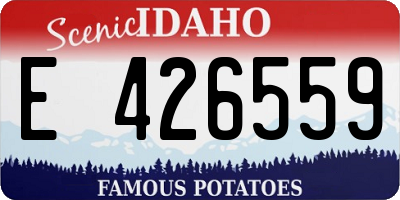 ID license plate E426559