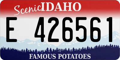 ID license plate E426561
