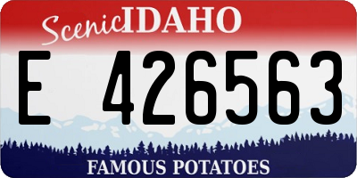 ID license plate E426563
