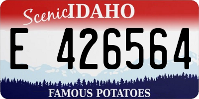 ID license plate E426564