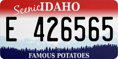 ID license plate E426565