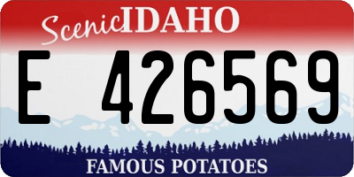 ID license plate E426569