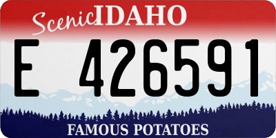 ID license plate E426591