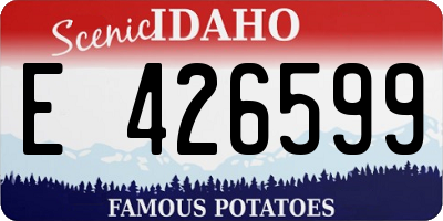 ID license plate E426599