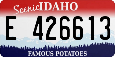 ID license plate E426613