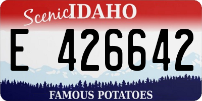 ID license plate E426642