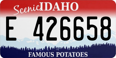 ID license plate E426658