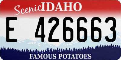 ID license plate E426663