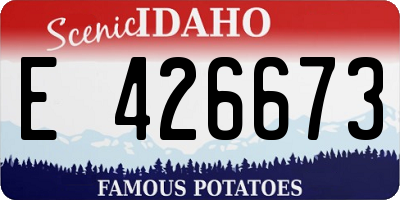 ID license plate E426673