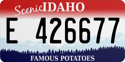 ID license plate E426677