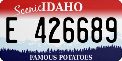 ID license plate E426689