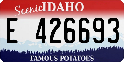 ID license plate E426693
