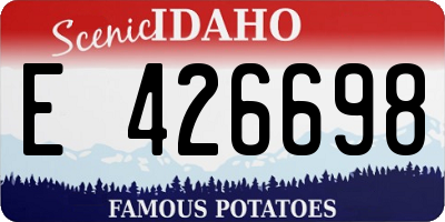 ID license plate E426698