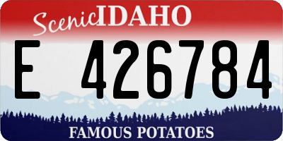 ID license plate E426784