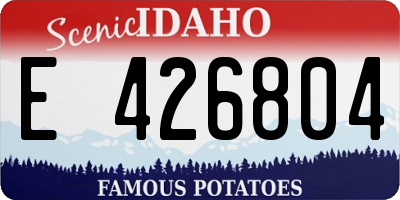 ID license plate E426804