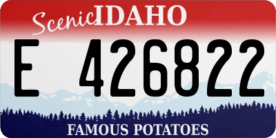 ID license plate E426822