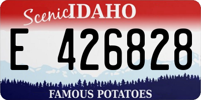 ID license plate E426828