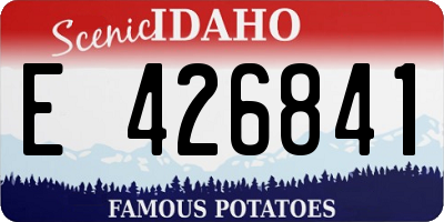 ID license plate E426841