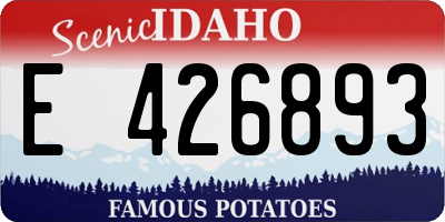 ID license plate E426893