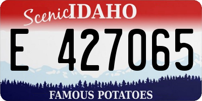 ID license plate E427065
