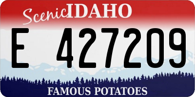 ID license plate E427209