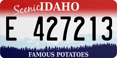 ID license plate E427213
