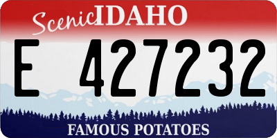 ID license plate E427232