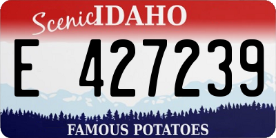 ID license plate E427239