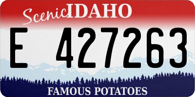 ID license plate E427263