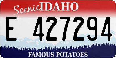 ID license plate E427294