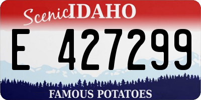 ID license plate E427299