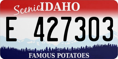 ID license plate E427303