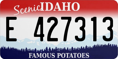 ID license plate E427313