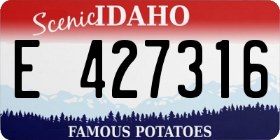 ID license plate E427316