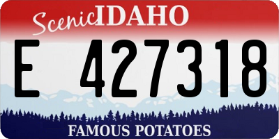 ID license plate E427318