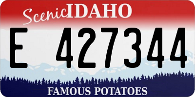 ID license plate E427344