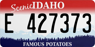 ID license plate E427373