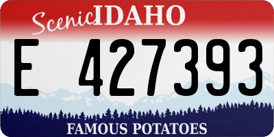 ID license plate E427393