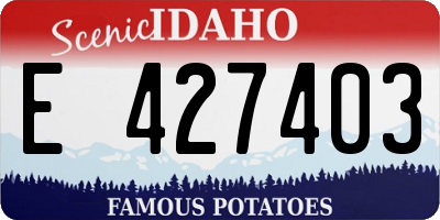 ID license plate E427403