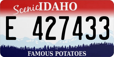ID license plate E427433